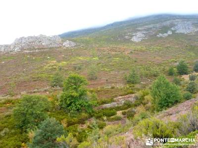 Ascenso al pico Ocejón [Serie Clásica]rutas peguerinos senderismo por la sierra de madrid madrid r